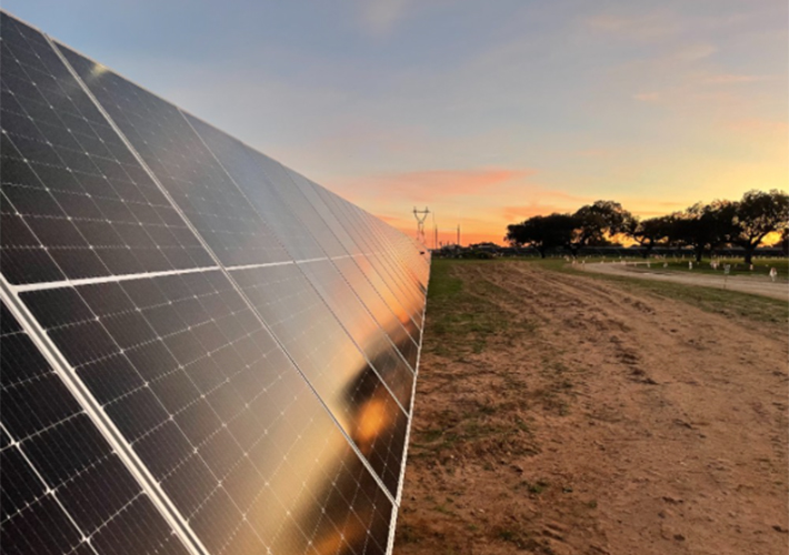 Foto Badajoz cuenta con nueva capacidad renovable con la puesta en marcha de cuatro plantas solares de Endesa.